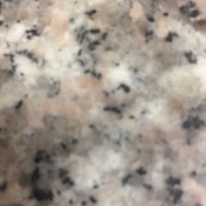 Meet your Posher, Ariel